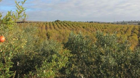 Impresionante Finca Rural de 14 Hectáreas con Explotación Agrícola y Nave Industrial