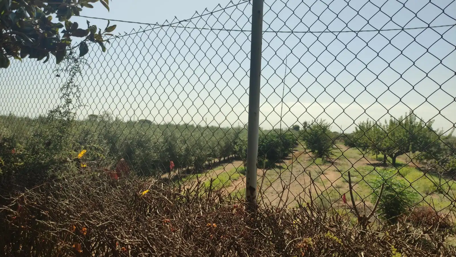 Finca rústica en venta en de les Hortes, Montbrió del Camp