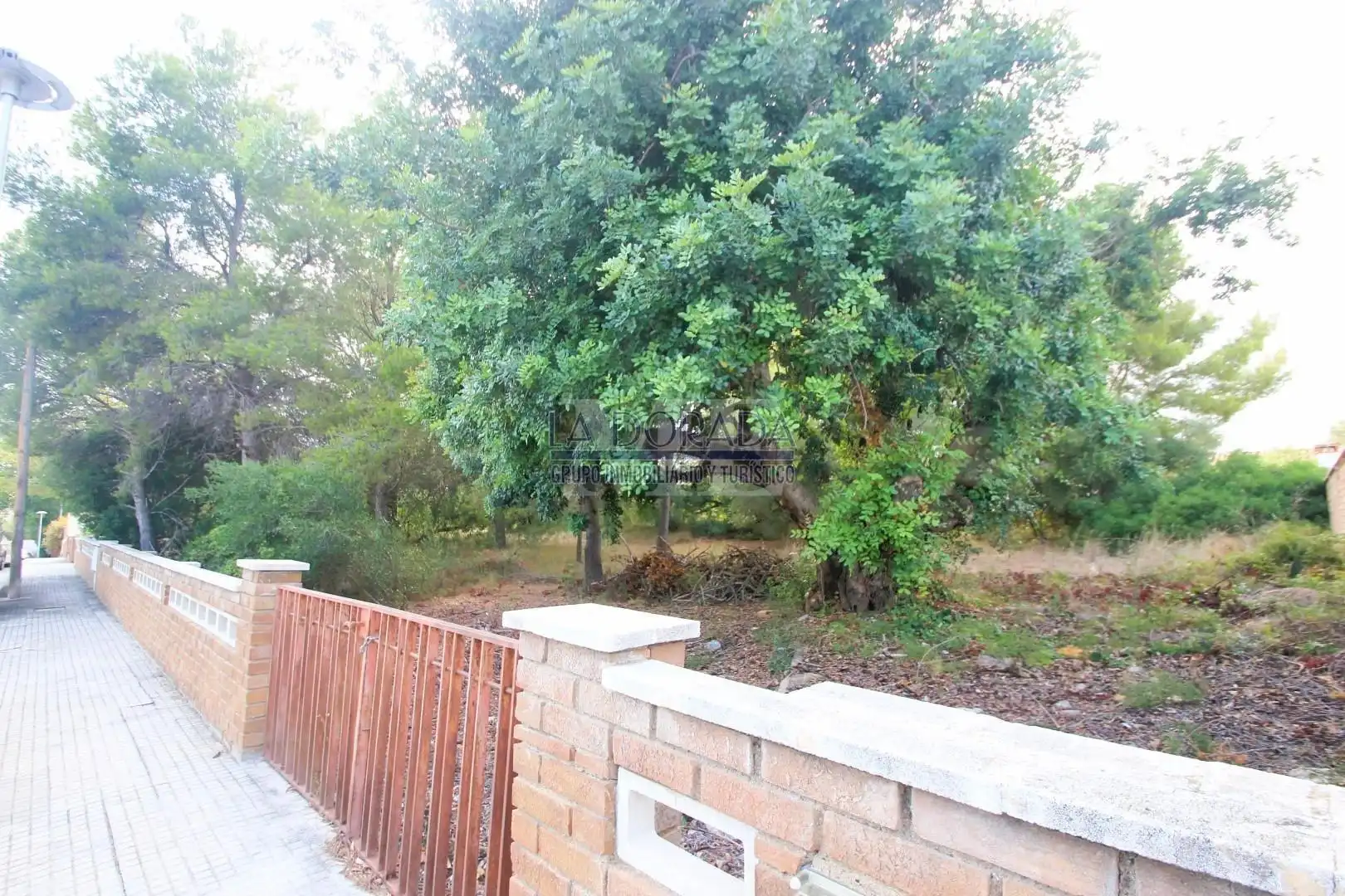 Terreny residencial en venda a Platja de Mont-roig, imagen 17