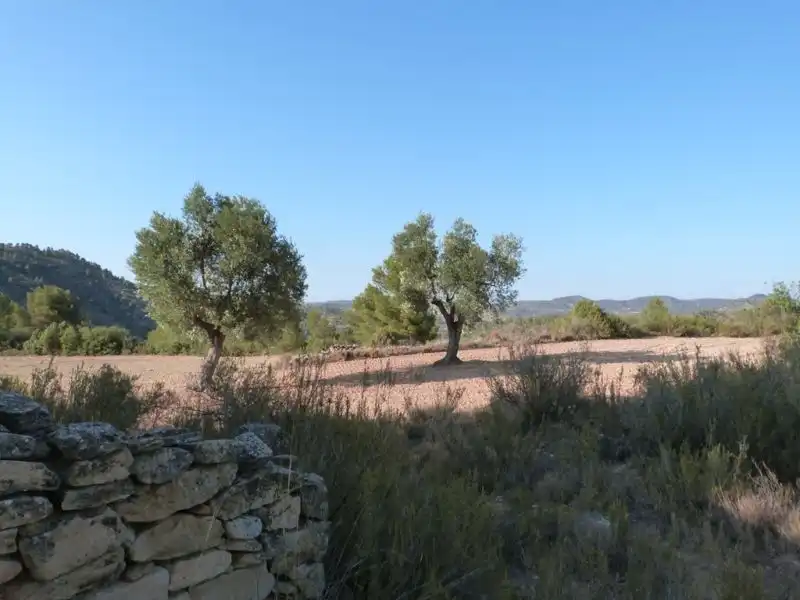 Finca rústica en venta en Calaceite