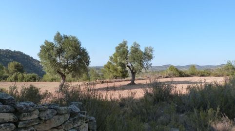 Foto 5 de Finca rústica en venta en Calaceite, Teruel