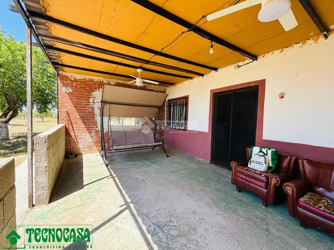 Land for sale in Mascaraque