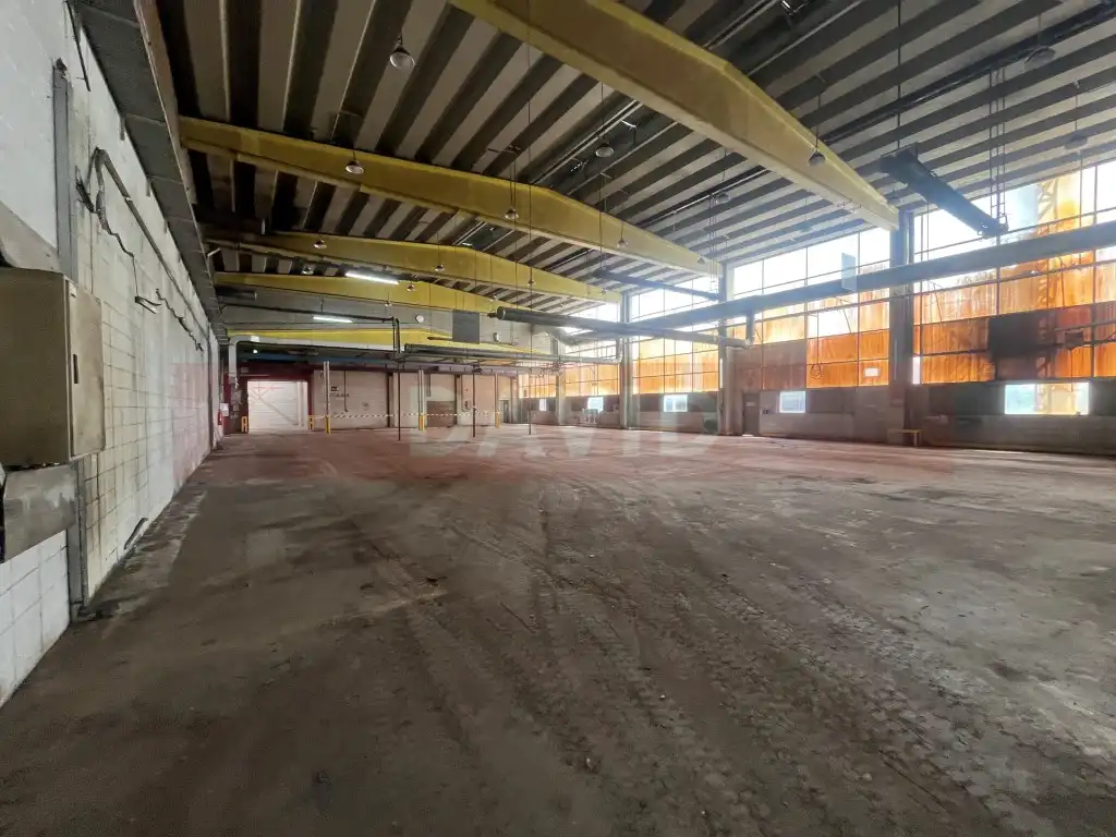 Industrial building for sale in Diseminados Poligon 39, imagen 14