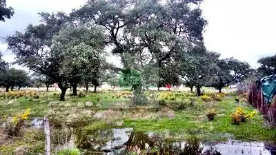Terreni e lotti in vendita a La Codosera, imagen 3
