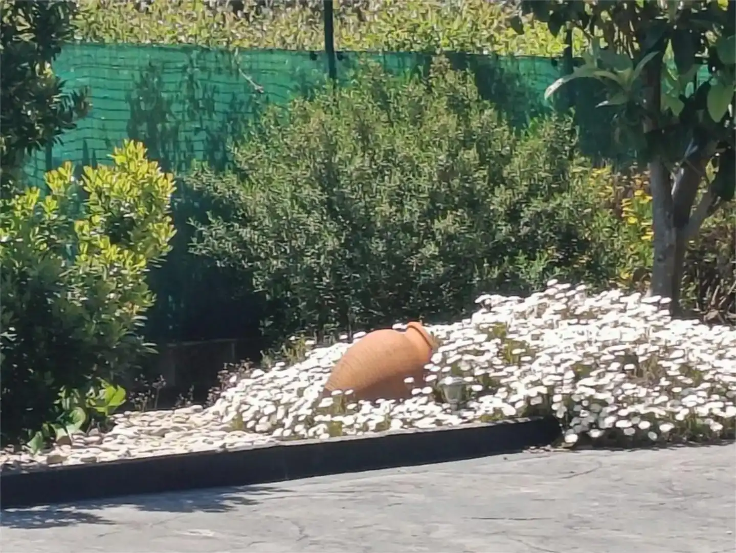 Jardí de Finca rústica en venda en San Sadurniño amb Jardí privat