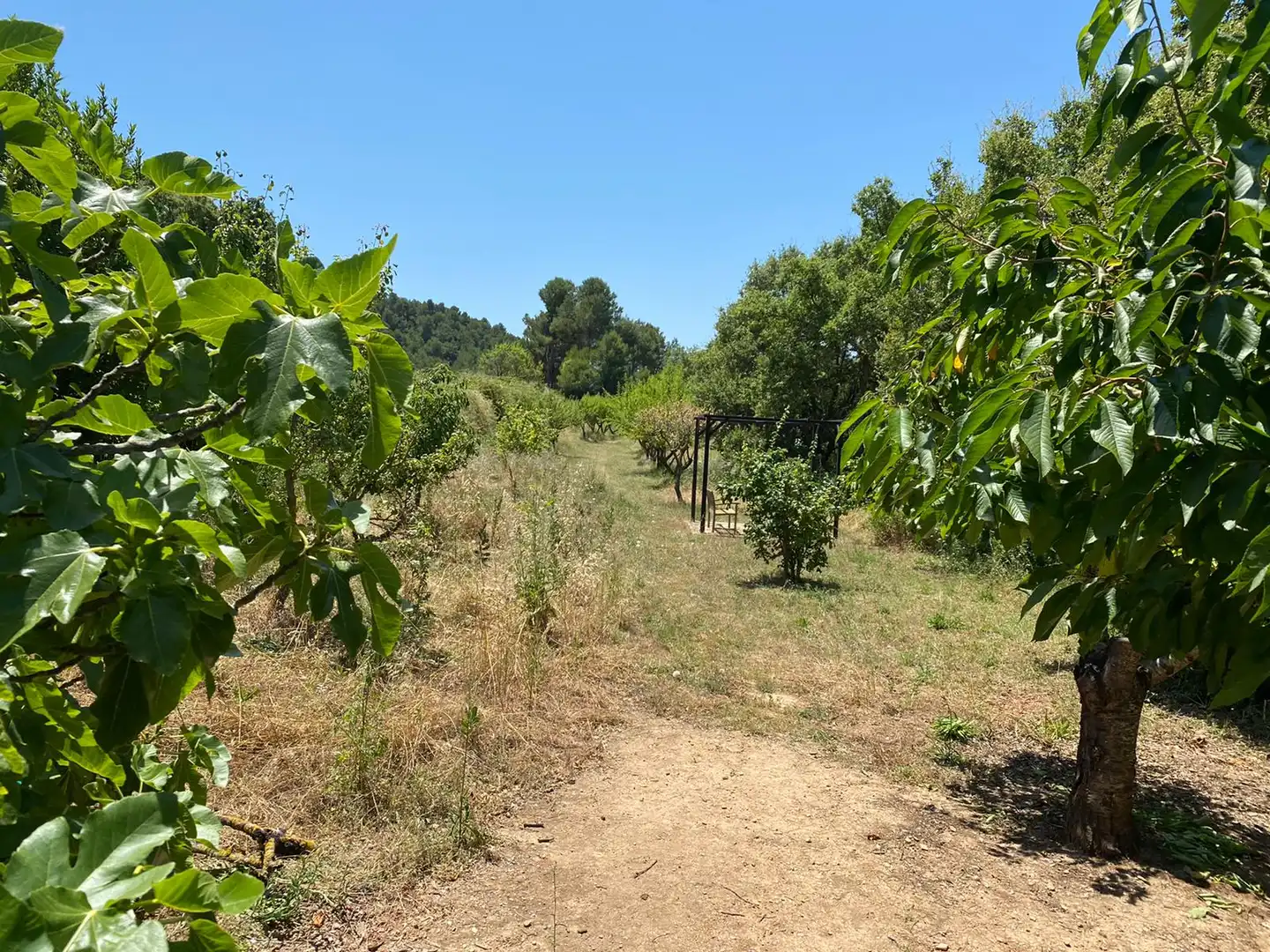 Villa avec terrasse à vendre à Carrer Ismael Balanyà, imagen 44