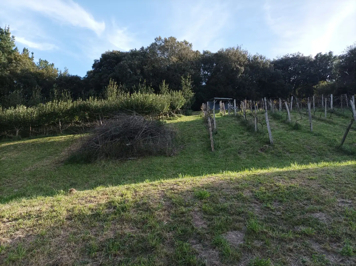 Terreno en venta en Laukiz