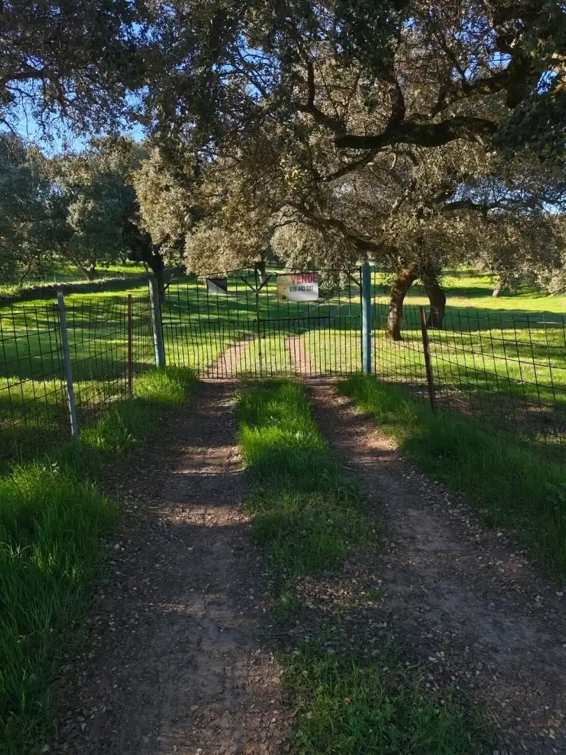 Terreno en venta en Cabeza la Vaca