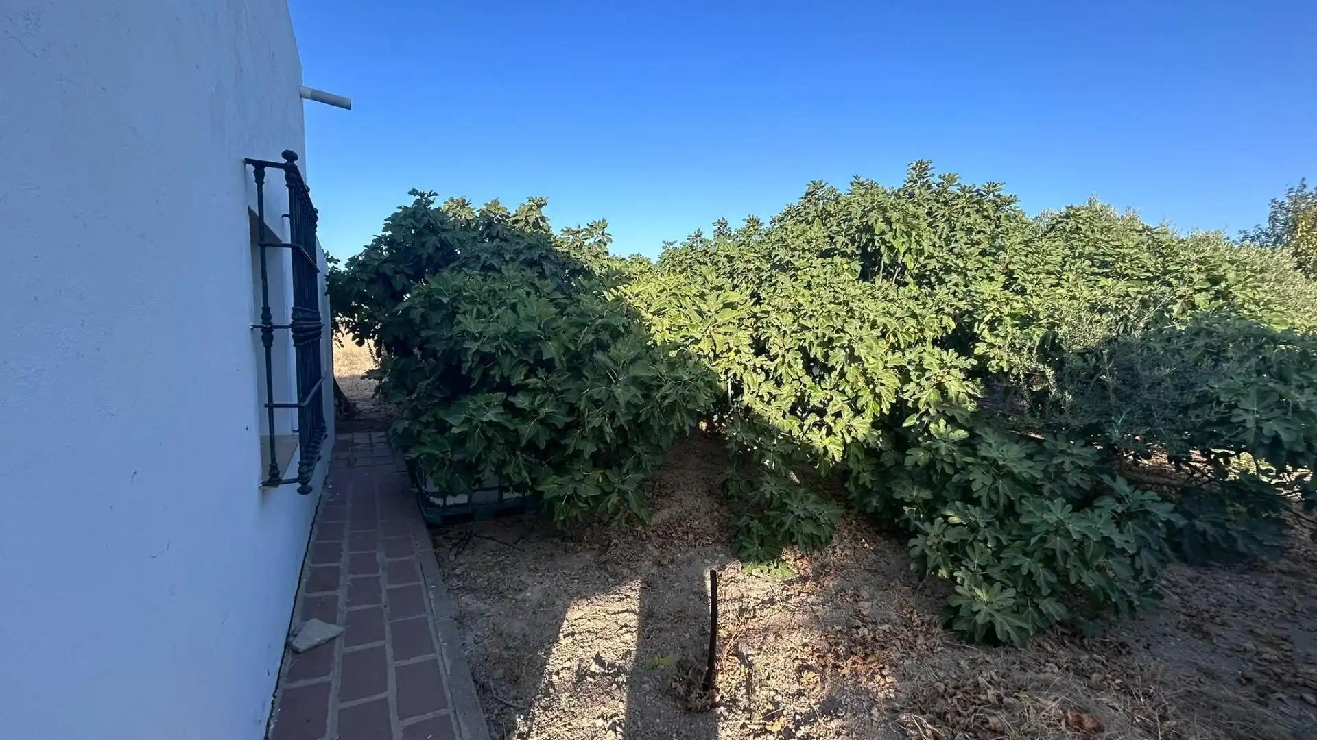 Terreni e lotti in vendita a Los Franceses – La Vega, imagen 5
