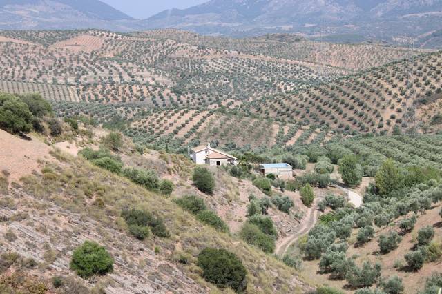 Casa-chalet en Venta en Paseo Concejal Jose Oliva en El Burgo