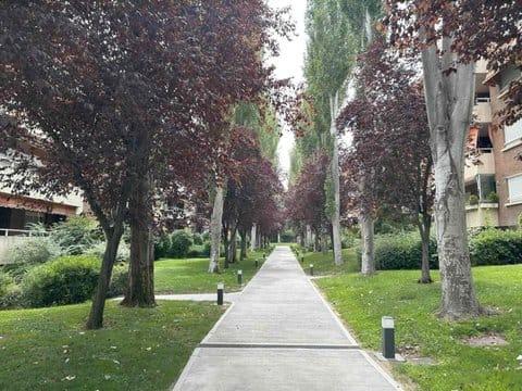 Photo 1 of Flat to rent in Calle Solano, 33, Prado de Somoaguas, Madrid