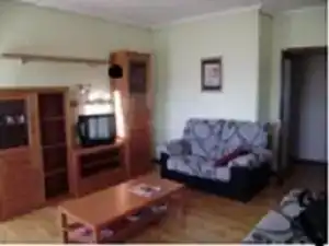 Living room of Flat for share in Valladolid  with Private garden, Parquet flooring and Storage room