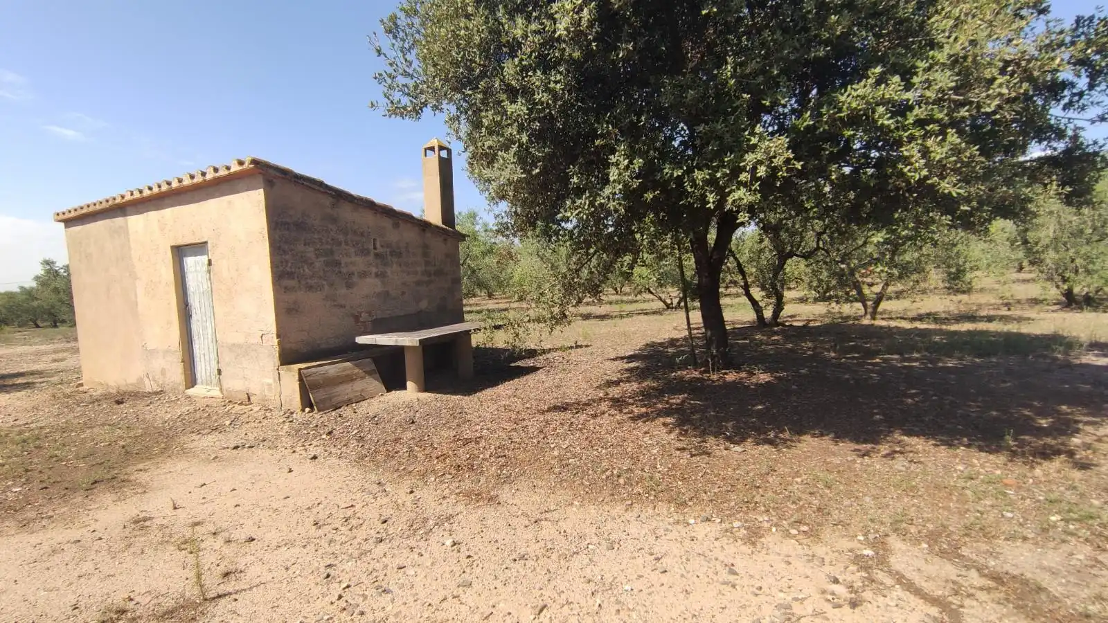 Finca rústica en venta en de les Hortes, Montbrió del Camp