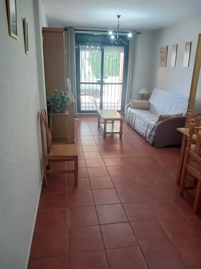 Apartments for rent in Carretera del Molino Viejo, Los Gallos