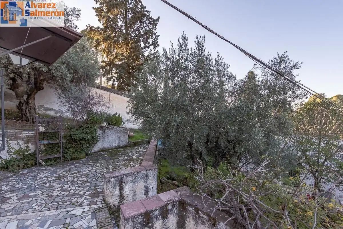 Haus oder Chalet zum Verkauf in Paseo DE LA SABICA, San Matías - Realejo