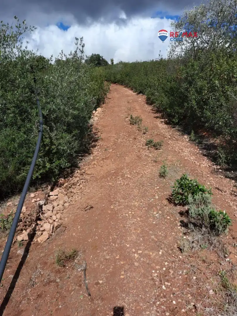 Terreni e lotti in vendita a Alburquerque, imagen 31