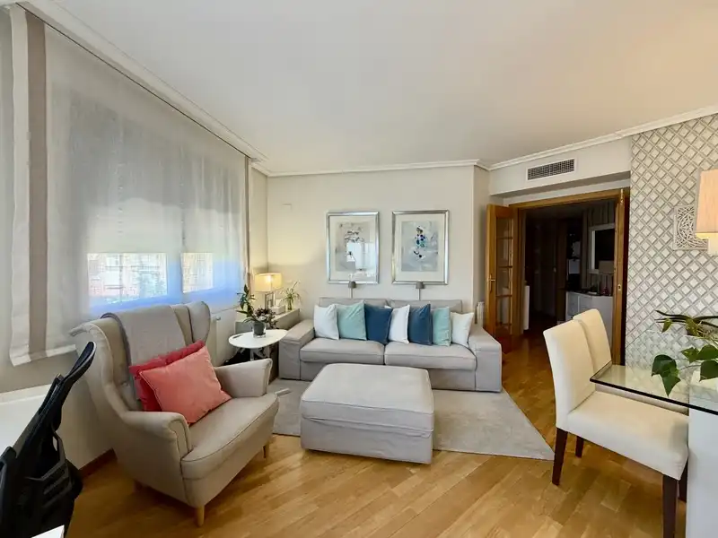 Sala de estar de Piso de alquiler en Madrid con Aire acondicionado, Calefacción y Jardín privado