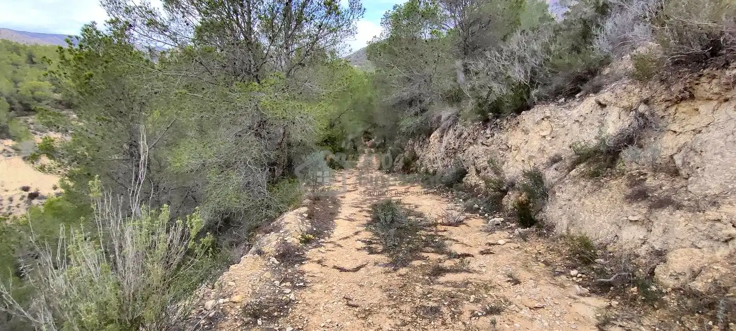 Terreny rústic en venda a Les Urques, imagen 10
