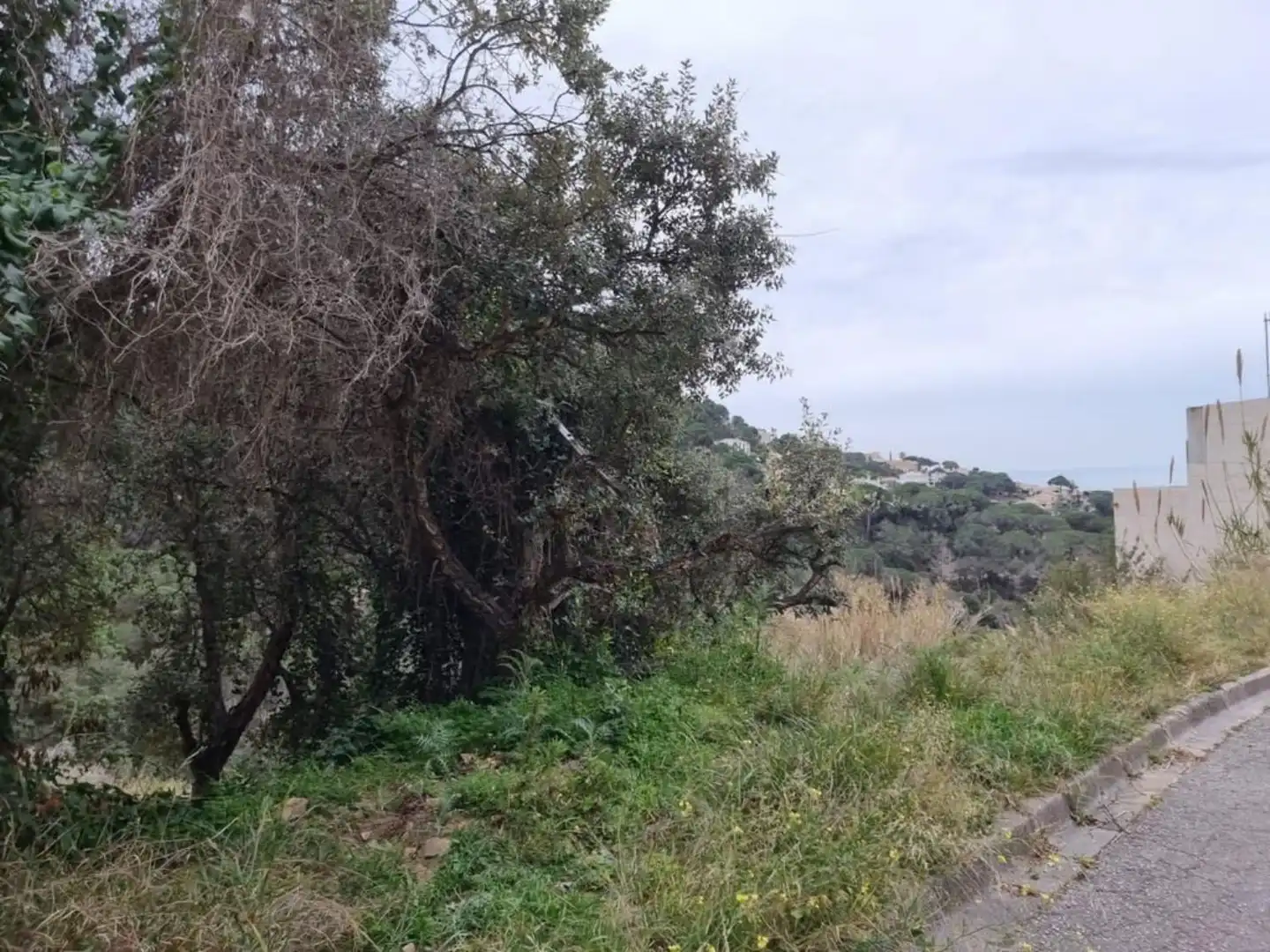 Terrenos y solares en venta en Serra Brava, imagen 20