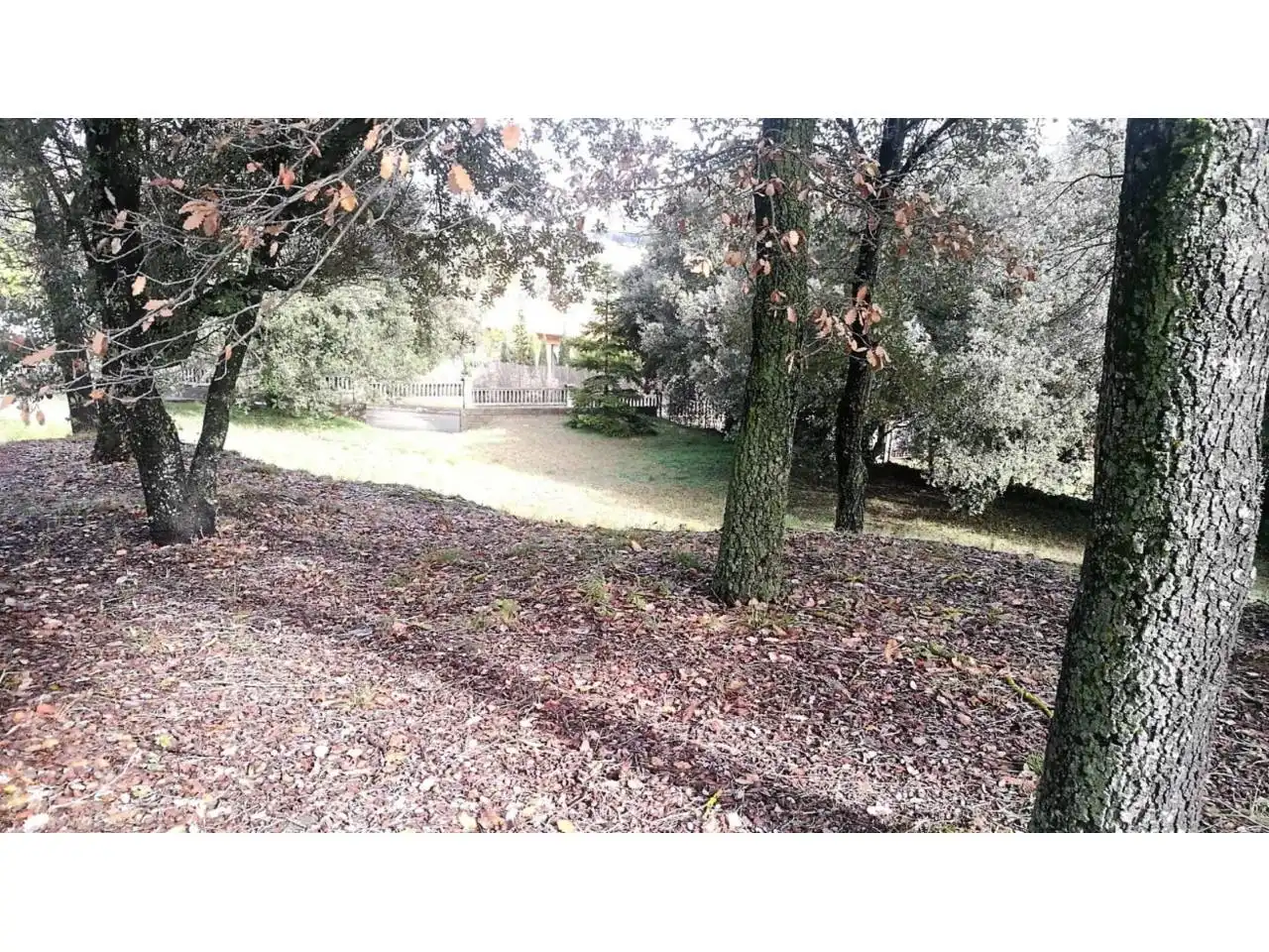 Industrial land for sale in Sallent