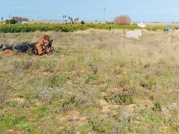 Rural land for sale in Pego