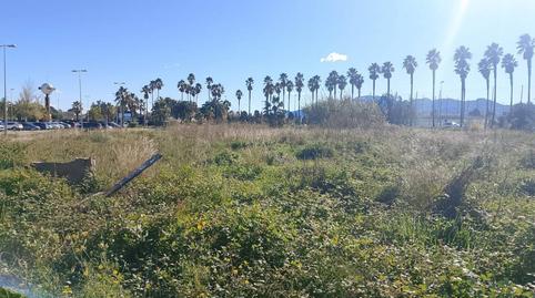 Photo 4 of Land for sale in Calle Estación de Ferrocarril, 1, Oliva Nova, Valencia