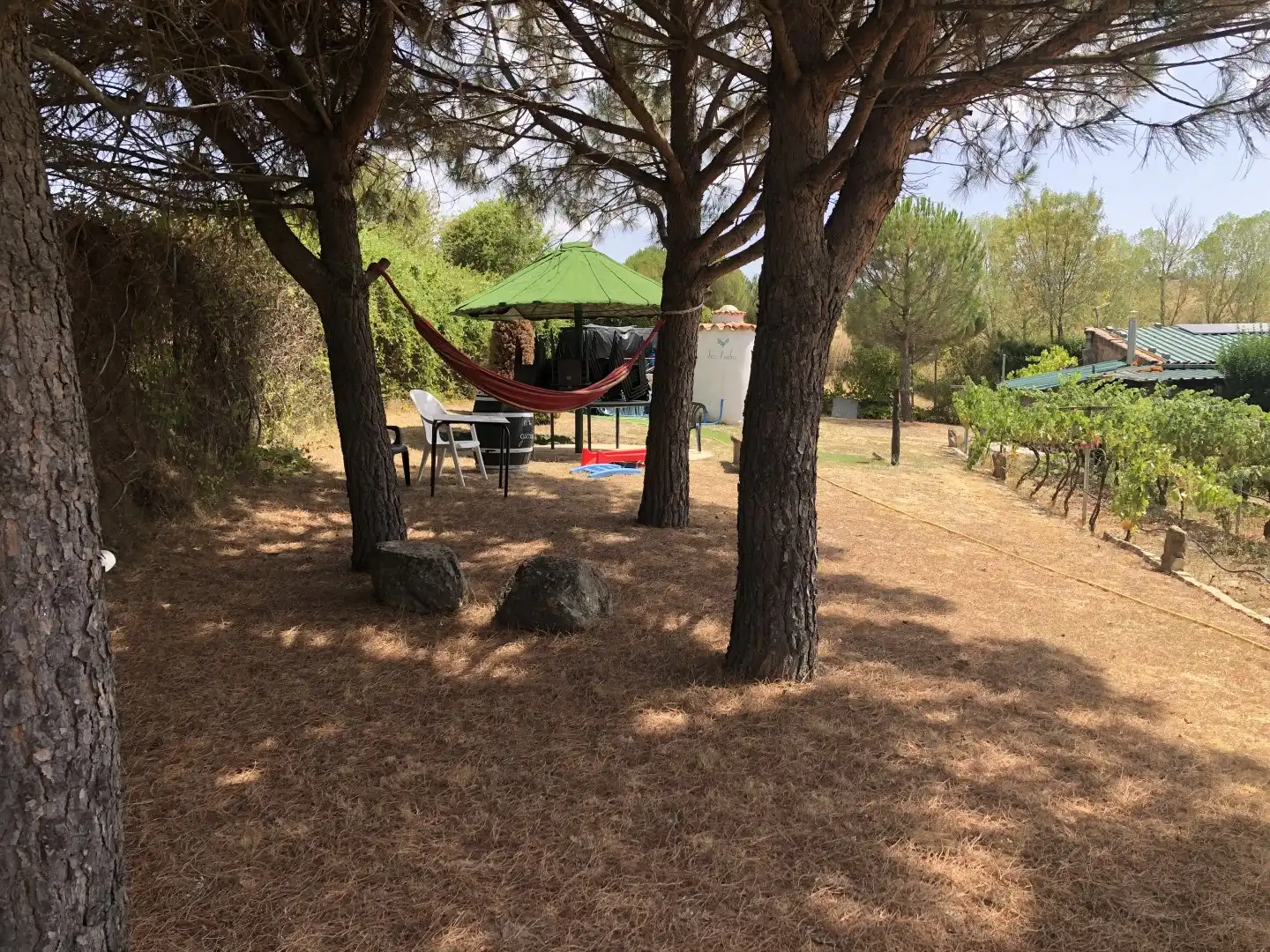 Finca rústica en venda a La Lastrilla