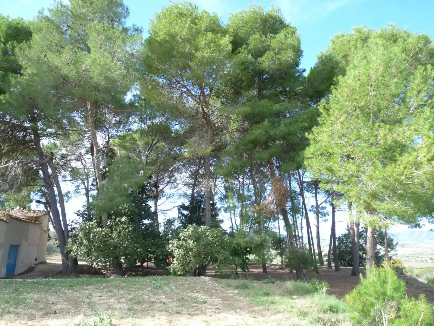 Country house zum Verkauf in Albaida mit Privatgarten und Abstellraum