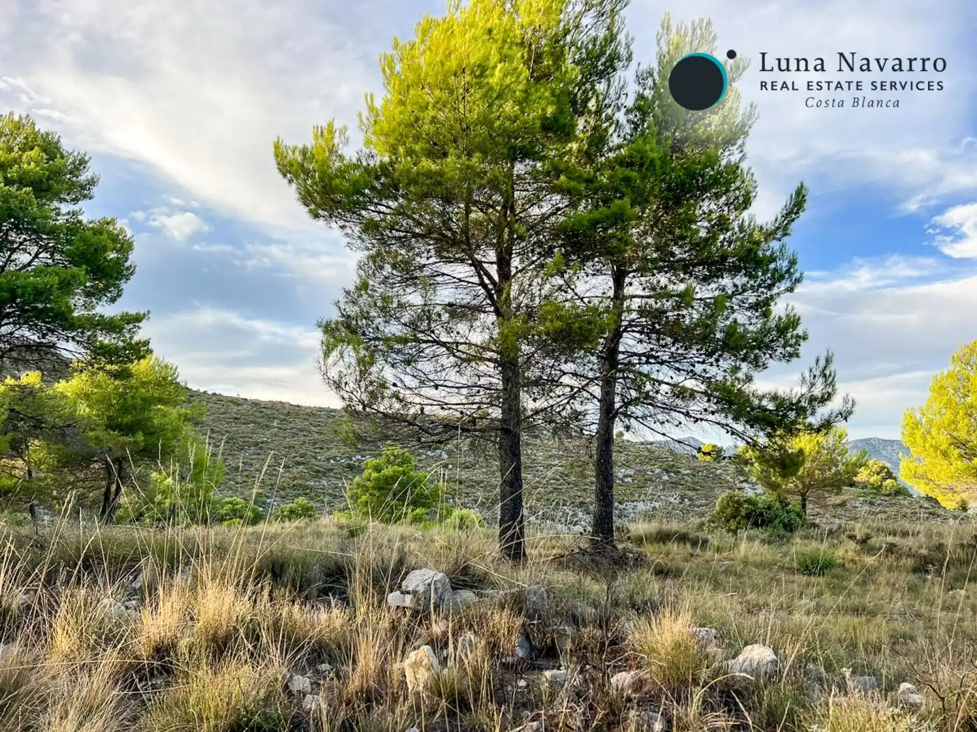 Terreno en venta en Calle San Antonio, 50, Confrides