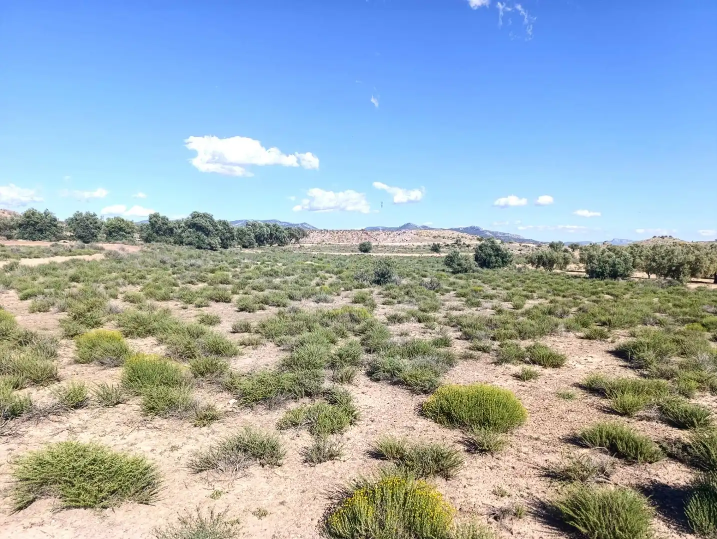 Rural land for sale in Partida Los Cabezos, imagen 3
