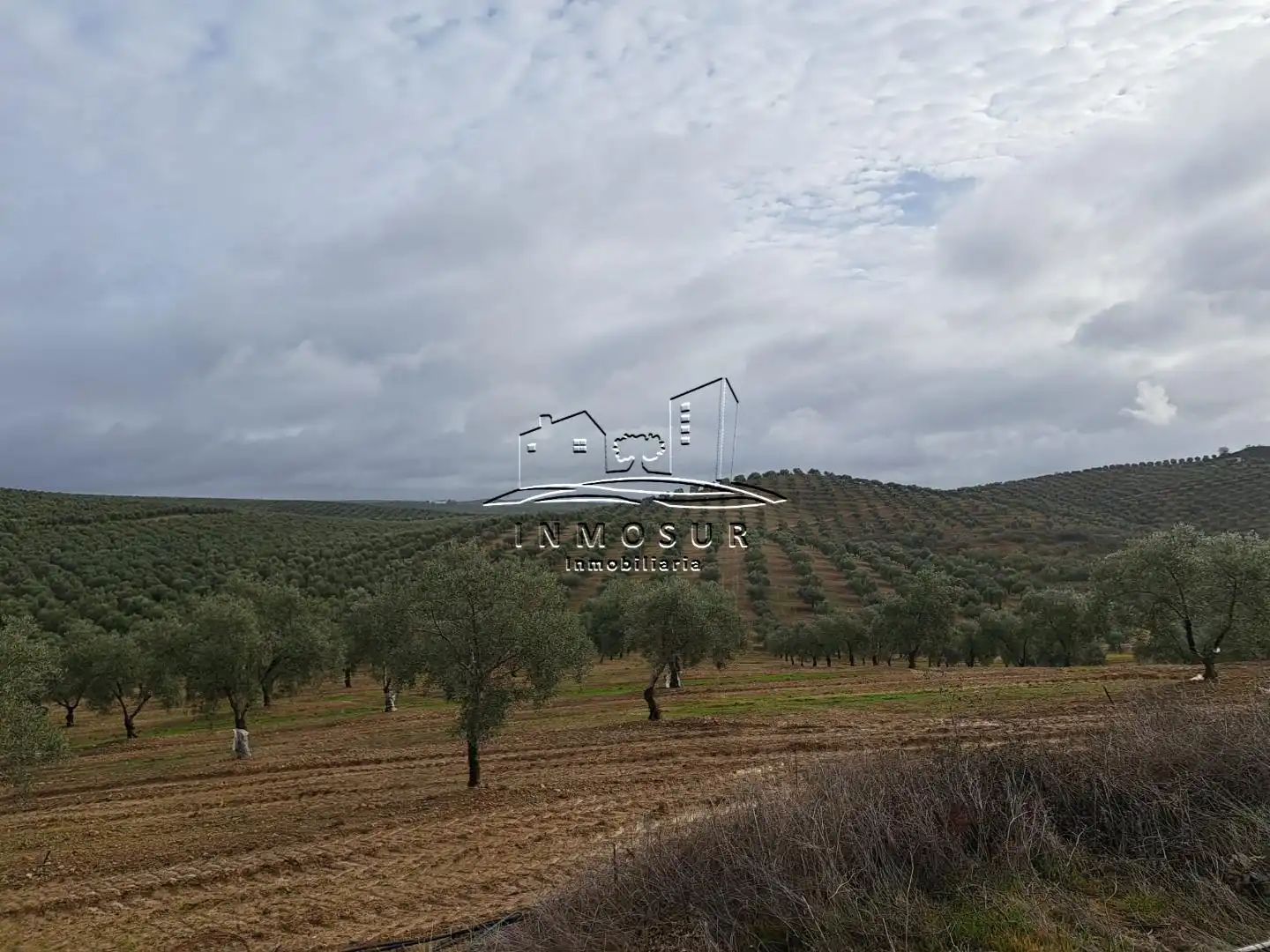 Terrenys i solars en venda a Benamejí, imagen 6