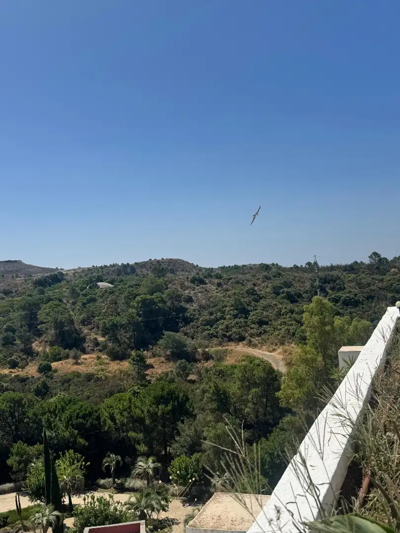 Ático de alquiler en Benahavís con Aire acondicionado, Calefacción y Terraza