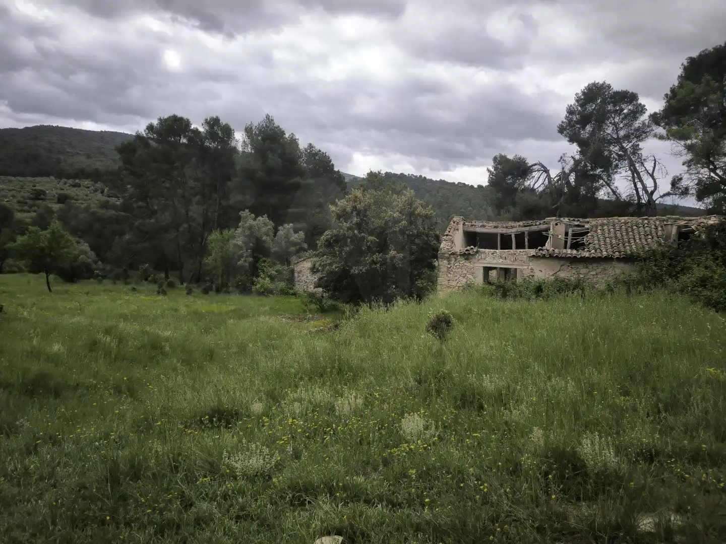 Rural land for sale in Penàguila, imagen 24