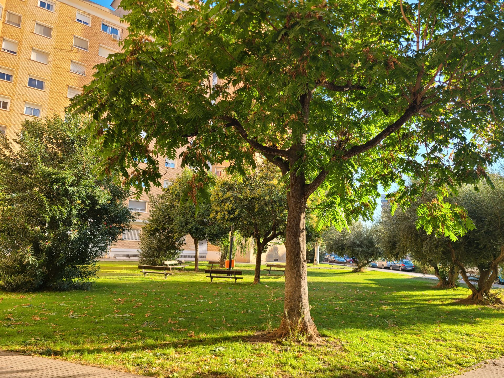 Exterior view of Flat for sale in  Zaragoza Capital  with Heating