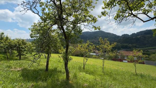 Terreno en Venta en AS-236, 8 en Candamo