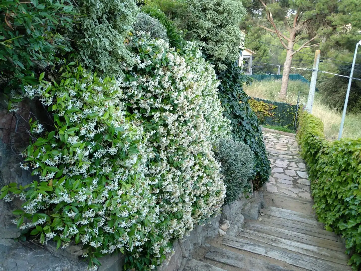 House with pool for sale in Sant Bernat 1, imagen 28