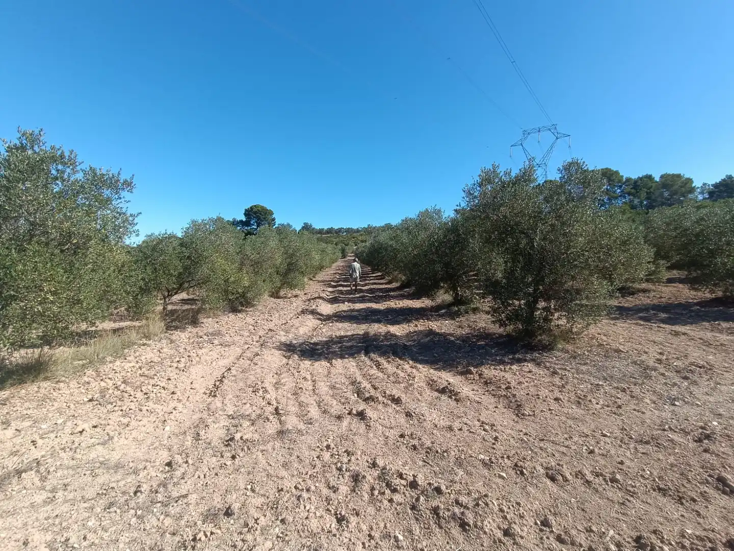 Terreny rústic en venda a La Secuita, imagen 10