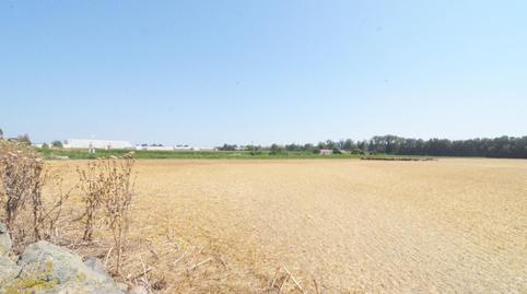 Foto 5 de Terreno en venta en Doñinos de Salamanca, Salamanca