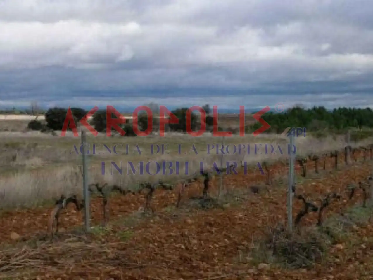 Terreni e lotti in vendita a Chozas de Abajo