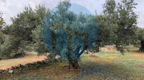 Foto 5 de Casa o chalet en venta en N/a, L'Ampolla, Tarragona