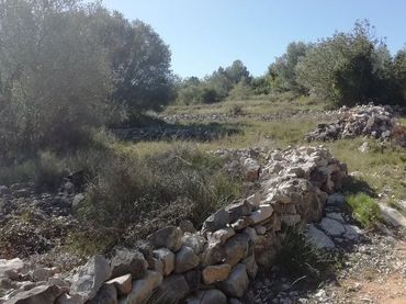 Terrain résidentiel à vendre à Plaça Nova 10