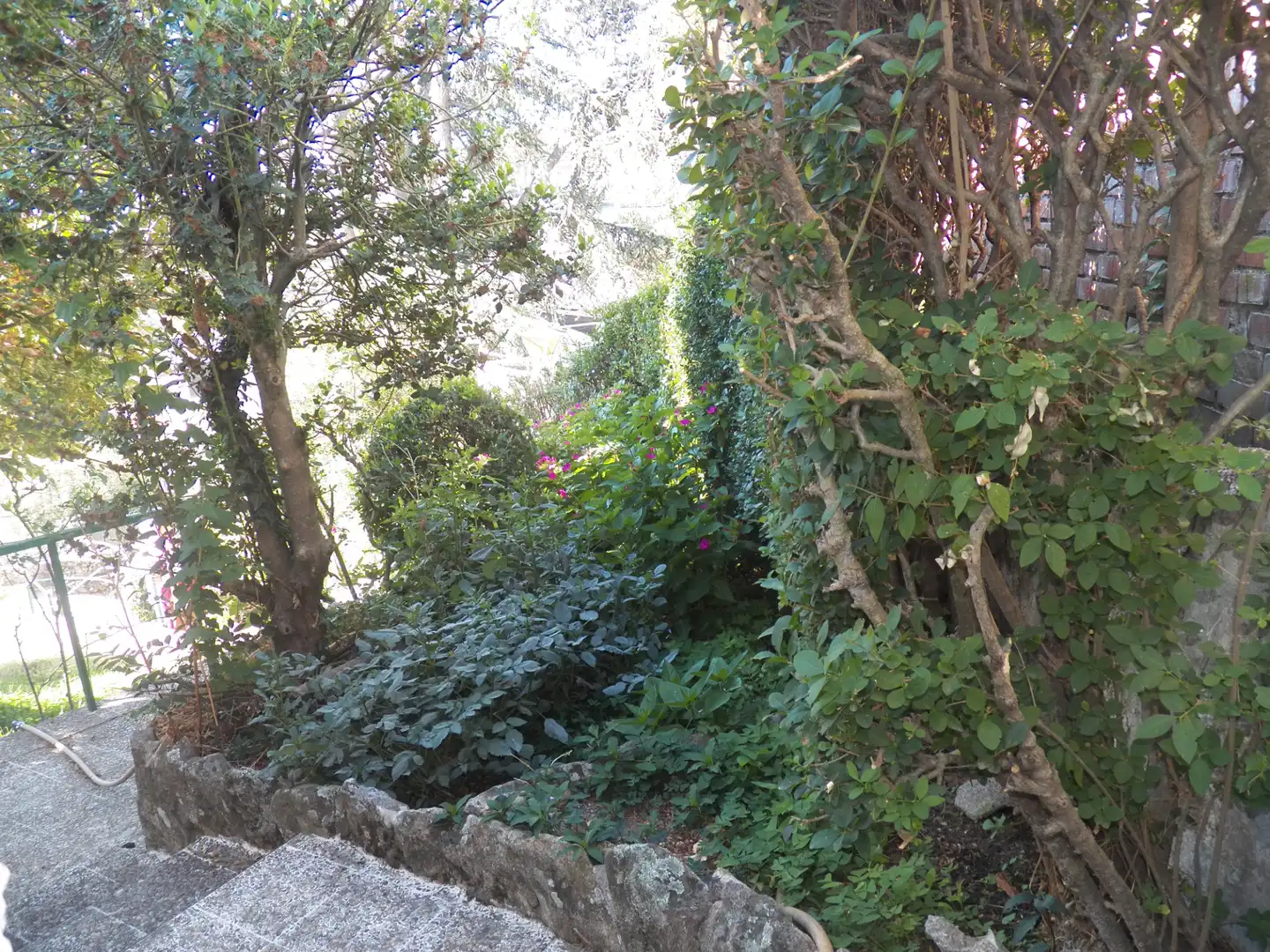 Garden of Detached homes for sale in Miraflores de la Sierra  with Private garden and Swimming Pool