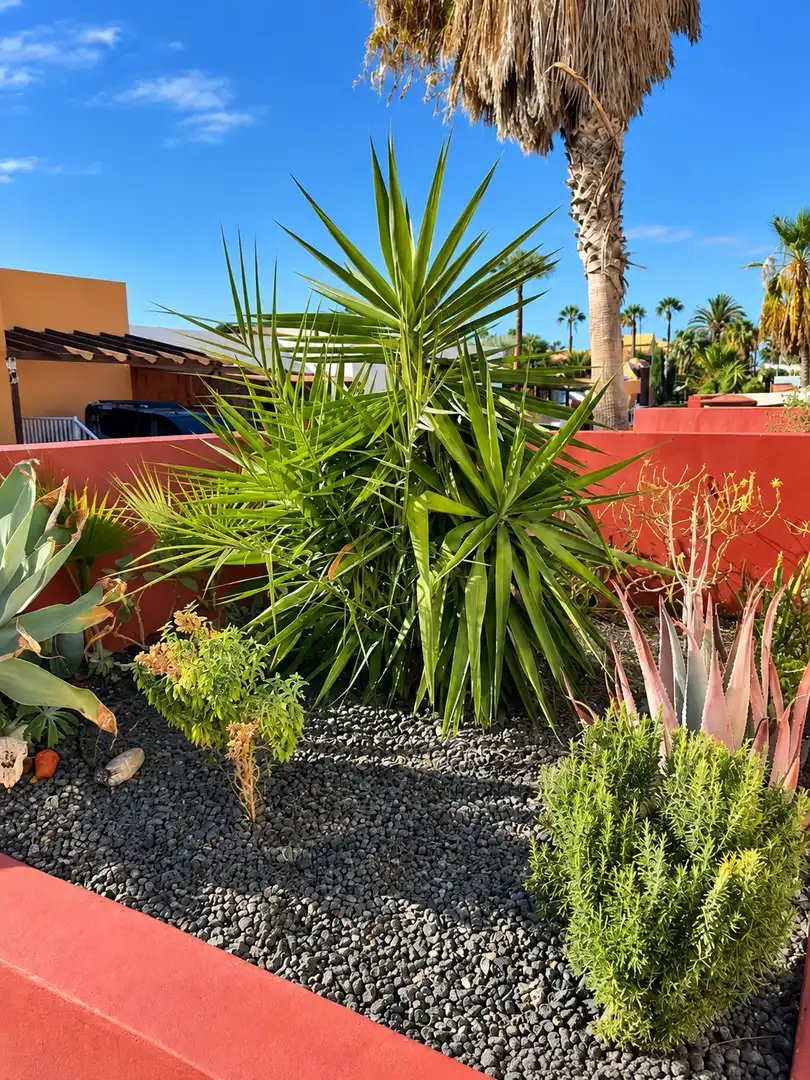 Terraced house with pool for sale in Corralejo, imagen 16