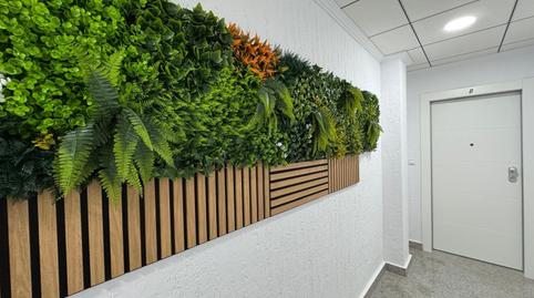 Photo 2 of Apartment for sale in Calle San Pascual, Centro - Muelle Pesquero, Alicante