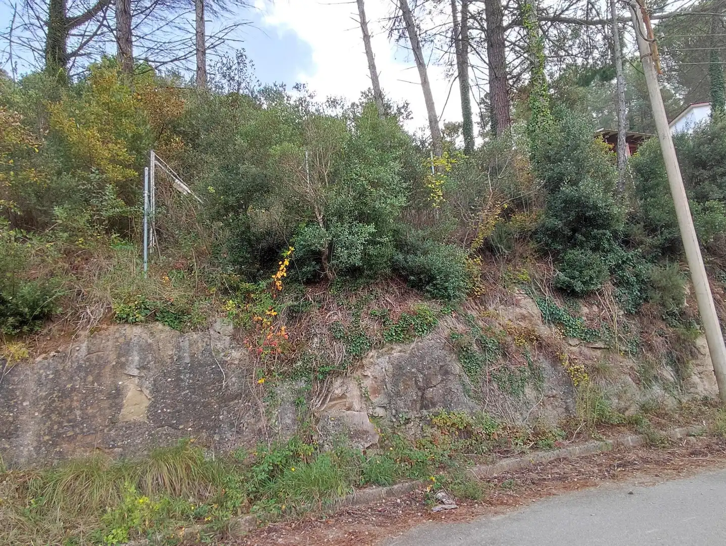 Terrain rustique à vendre à Monistrol de Calders, imagen 28