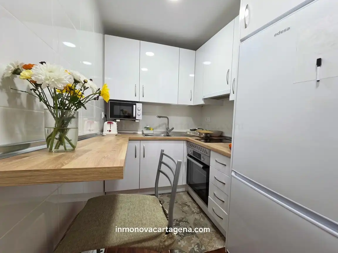 Cocina de Estudio de alquiler en Cartagena con Amueblado, Horno y Lavadora