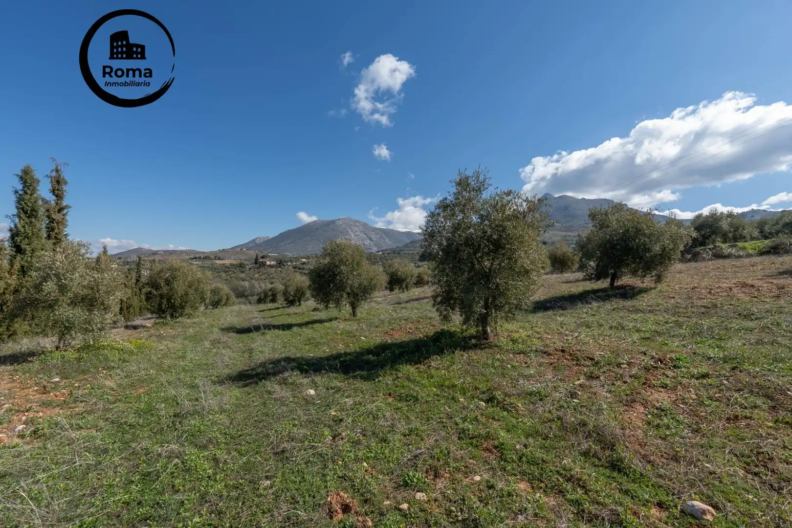 Terreni e lotti in vendita a Cogollos de la Vega