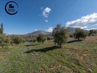 Terreno rustico in vendita a Cogollos de la Vega