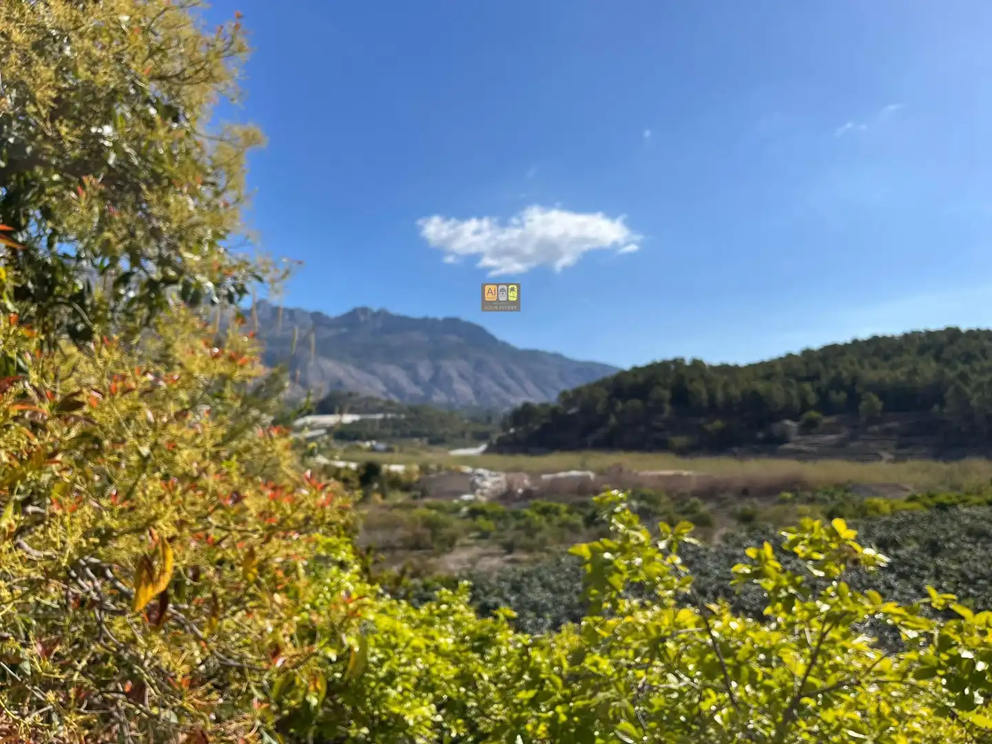 Finca rústica en venda a Callosa d'en Sarrià
