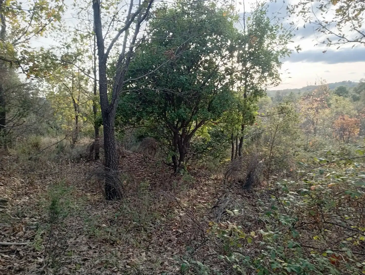 Terreni e lotti in vendita a Villanueva de la Vera, imagen 43